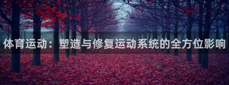 一竞技官网下载平台APP:体育运动:塑造与修复运动系统的全方