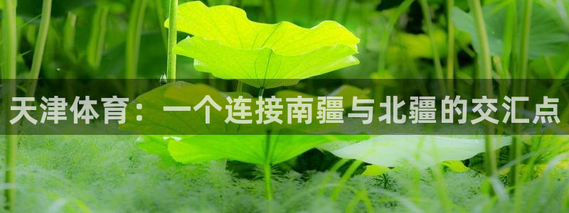 一竞技官网下载招商电话号码查询是多少:天津体育:一个连接南疆