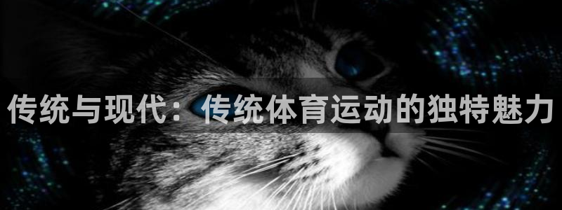 一竞技官网下载平台注册:传统与现代:传统体育运动的独特魅力