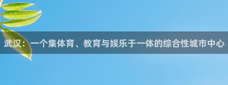 一竞技官方正版app集团logo:武汉:一个集体育、教育与娱